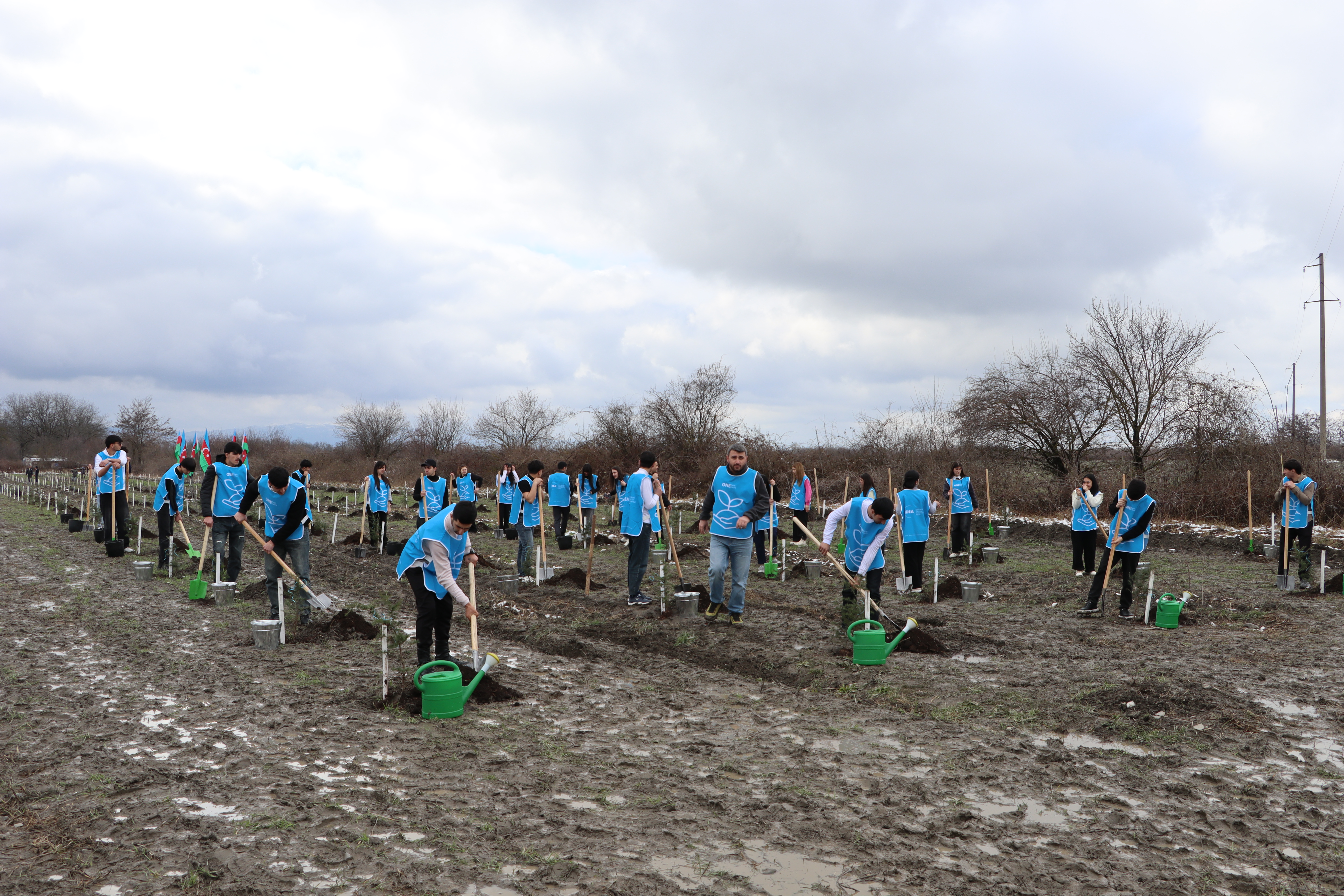 IDEA Şəki və Qəbələdə kütləvi ağacəkmə aksiyası təşkil etdi (FOTO)